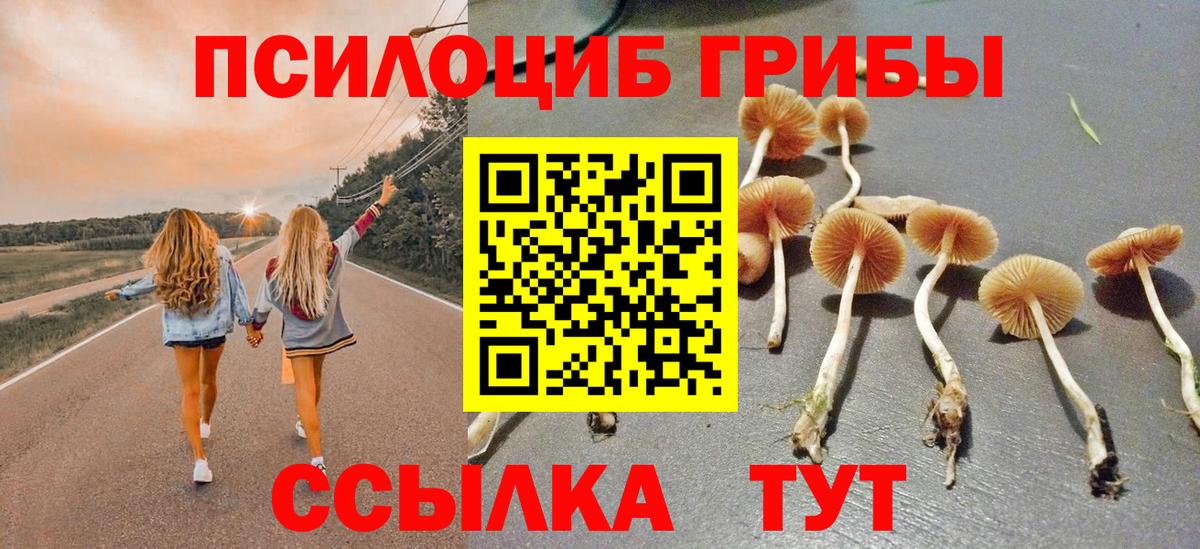 Галлюциногенные грибы ЛСД  Вход с VPN  Калач-на-Дону  Псилоцибиновые грибы Magic Shrooms 